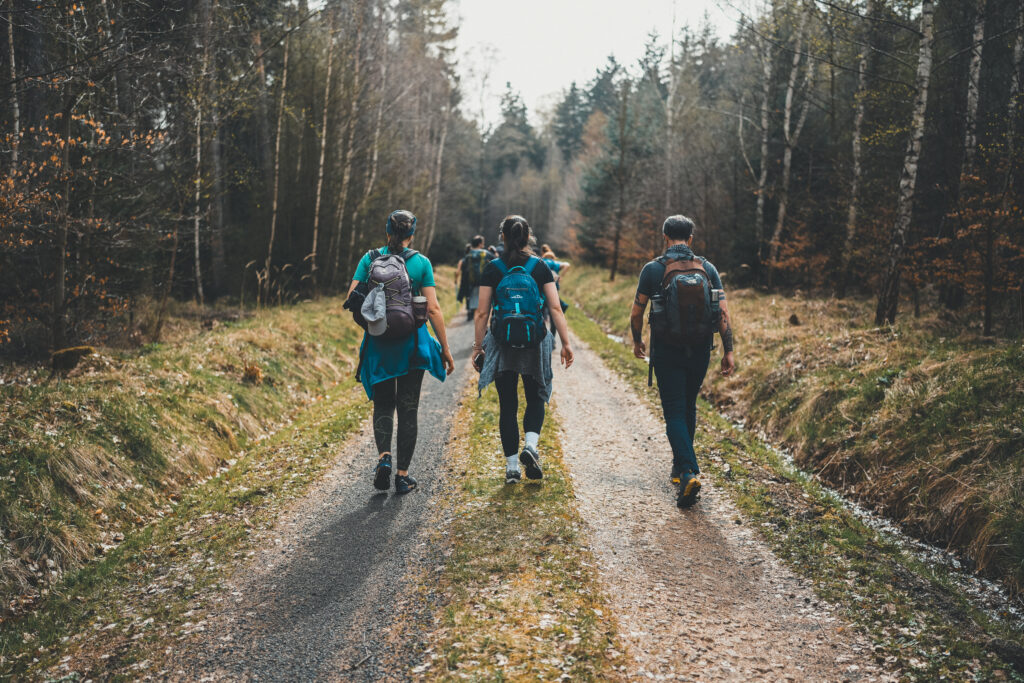 Wandelgroep tijdens wandeltocht in bosrijke omgeving